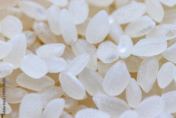 Obraz 生の白い米粒の質感