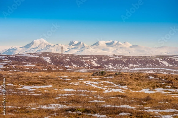 Fototapeta The dried grass field or pile of hay in the snow covered forest with snow-capped mountain background and blue sky in Iceland. Concept of wildlife, forage, beast track, yellow hayfield, countryside