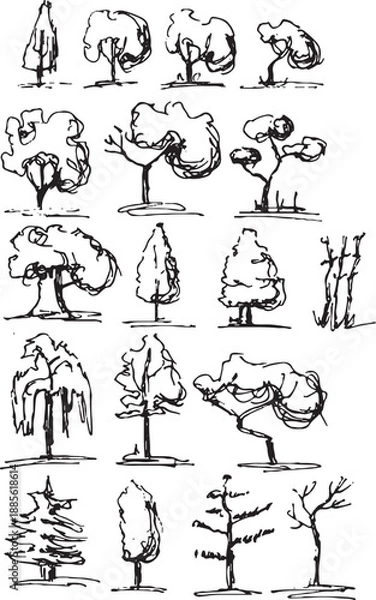 Obraz Hand drawn Sketch  Trees vector illustration