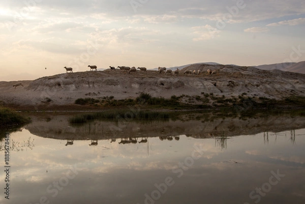 Obraz reflection in the water