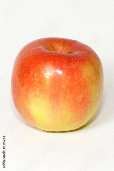 Fototapeta fruits 069