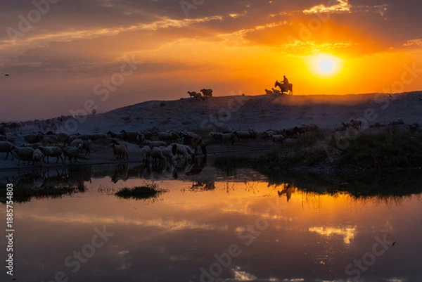 Obraz sunset on the lake
