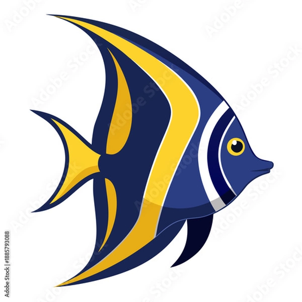 Obraz Colorful tropical fish