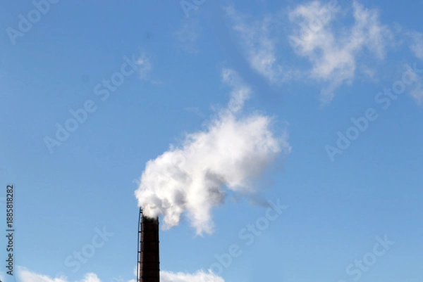 Obraz Winter Scenics in intense cold