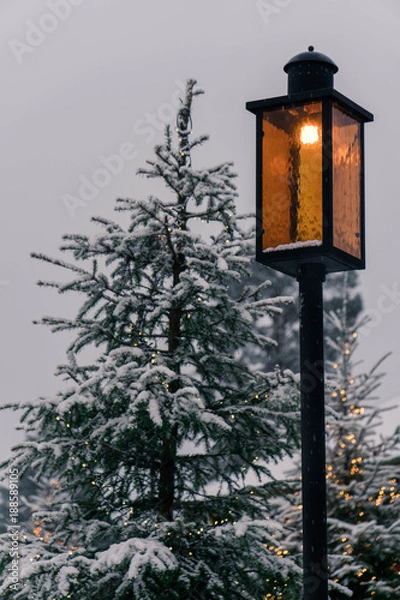 Obraz Warm Winter Days