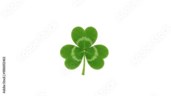 Fototapeta Lucky Three Leaf Clover