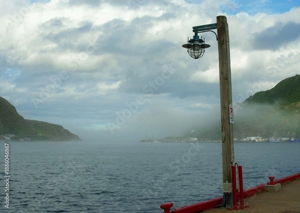 Obraz froggy harbour