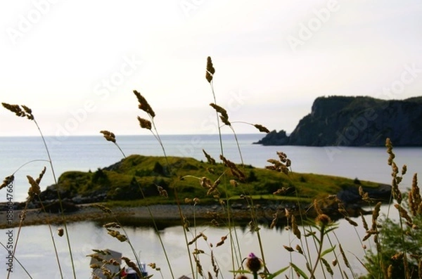 Obraz grass on island