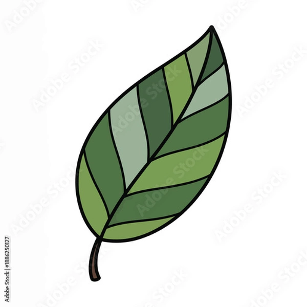 Obraz Simple green leaf illustration