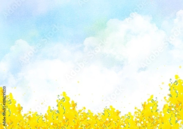 Obraz 春の菜の花畑と青空を描いた水彩風背景イラスト｜菜の花,春,空,自然,花畑