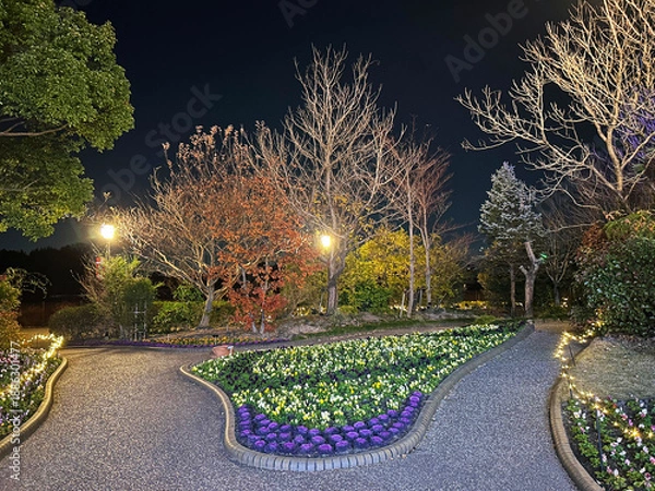 Obraz ライトアップされた庭