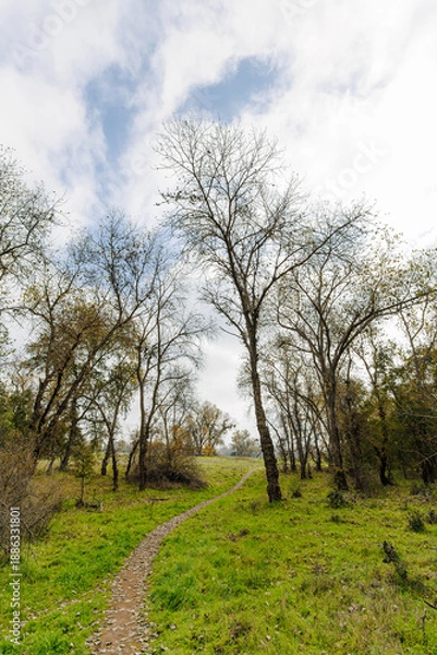 Obraz Path in the countryside