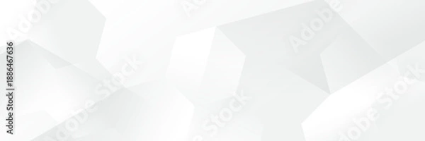 Fototapeta Abstract pattern white geometric banner design background.