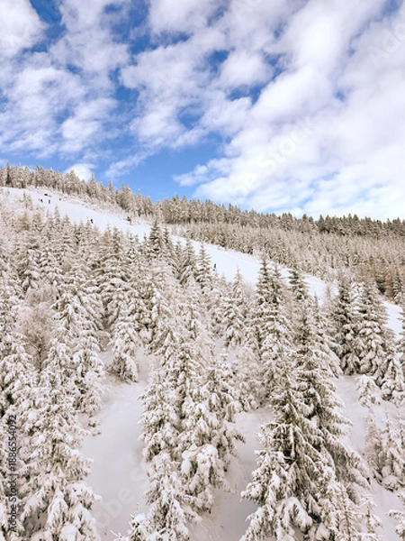 Obraz winter landscape with snow