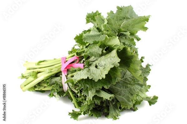 Obraz Green rapini
