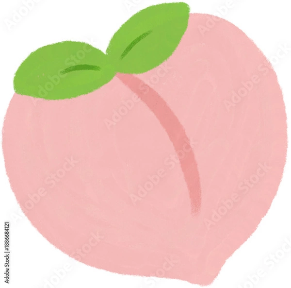 Obraz 복숭아 일러스트