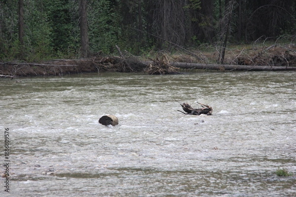 Obraz Jasper Alberta Rocky Mountain Scenery