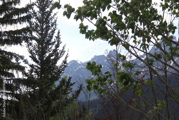 Obraz Jasper Alberta Rocky Mountain Scenery