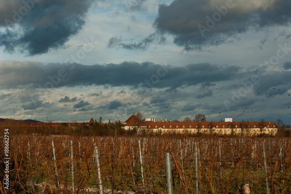 Obraz Wolkenhimmel über Feldern