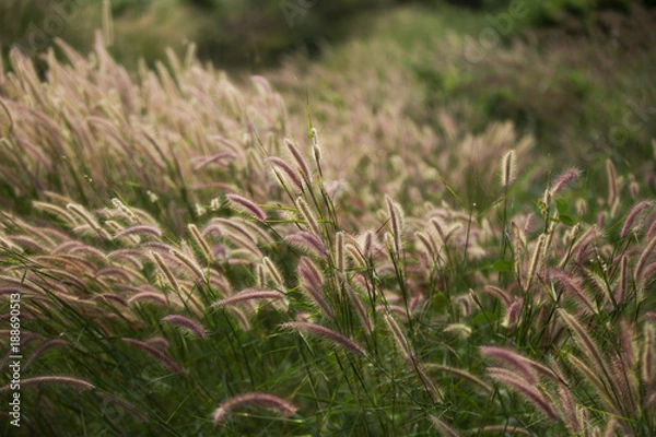 Obraz Thai sunset lookout