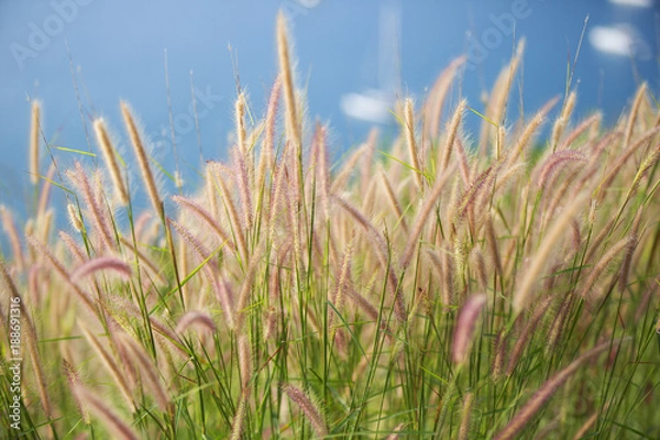 Obraz Thai sunset lookout