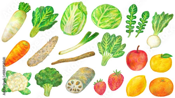 Obraz 冬の食べ物イラストセット オイルパステル画