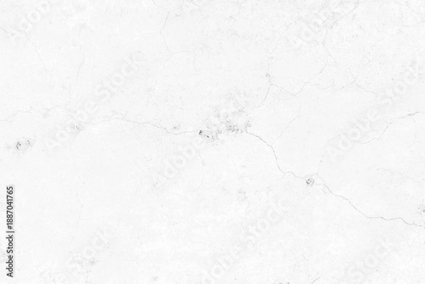 Obraz White Marble Texture Background with Subtle Veins