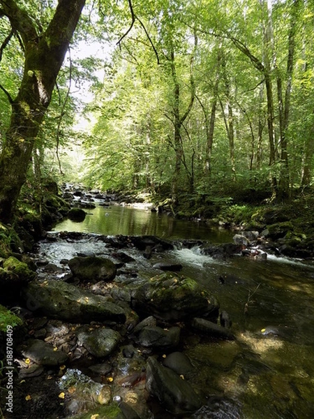 Fototapeta Eau et nature