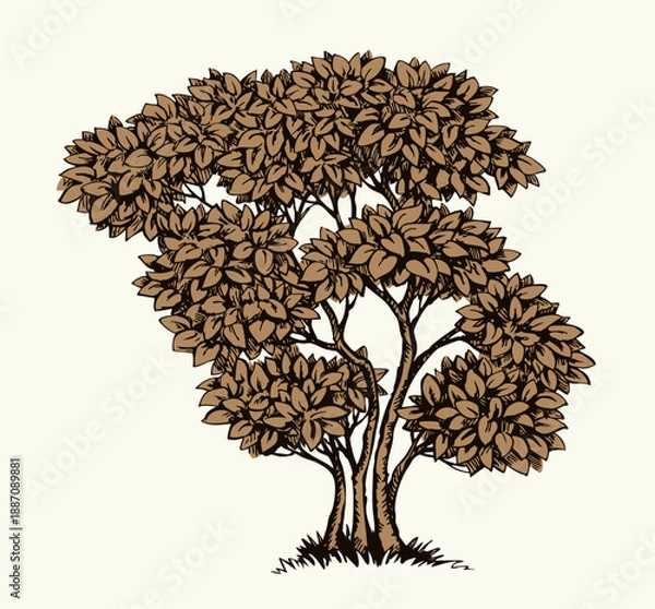 Obraz Vector drawing. Big green bush