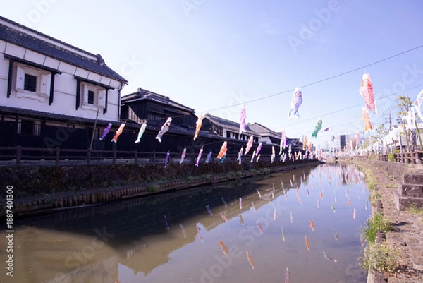 Obraz 栃木市　蔵の街栃木と巴波川の鯉のぼり