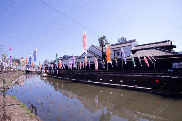 Obraz 栃木市　蔵の街栃木と巴波川の鯉のぼり