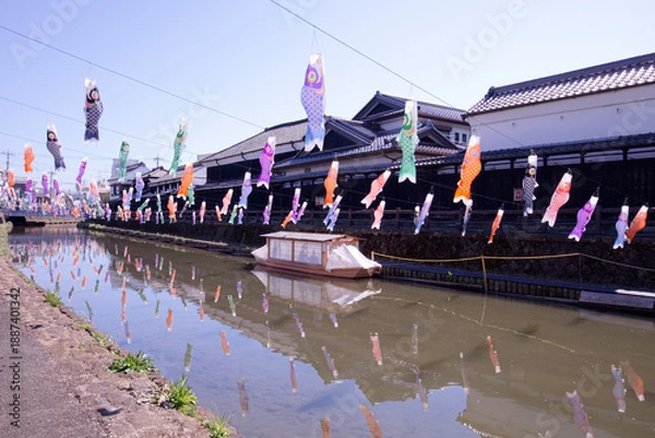 Obraz 栃木市　蔵の街栃木と巴波川の鯉のぼり