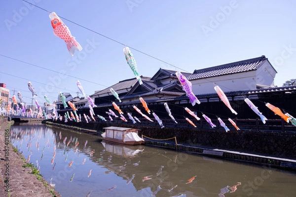 Obraz 栃木市　蔵の街栃木と巴波川の鯉のぼり