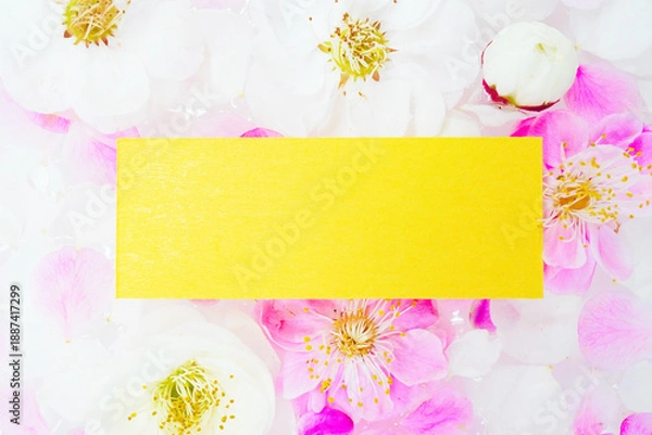 Obraz 水に浮かべた梅の生花を背景にした黄色のメッセージフレームのモックアップ