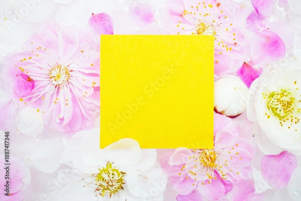 Obraz たくさんのピンクと白の梅の花を背景にした新春イメージのイエローのコメントスペースのモックアップ