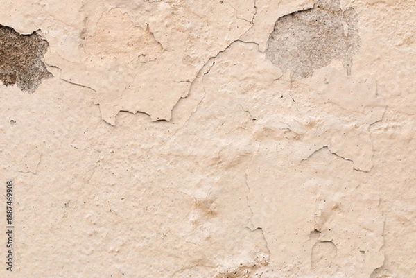 Fototapeta Light Gray Stucco Wall Texture. Abstract Background