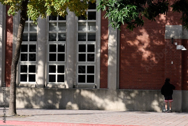 Obraz 台湾　台北の風景