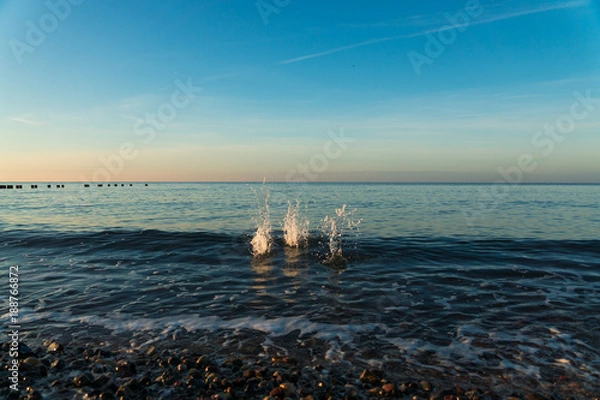 Fototapeta Tree drops