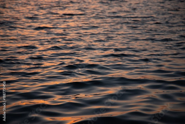 Fototapeta Water surface at sunset