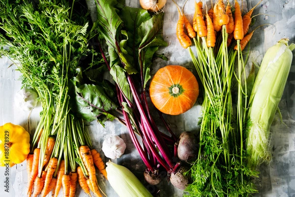Fototapeta Composition from natural vegetables, top view, flat