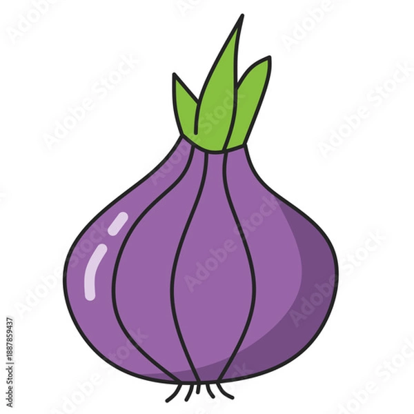 Obraz Onion Illustrations