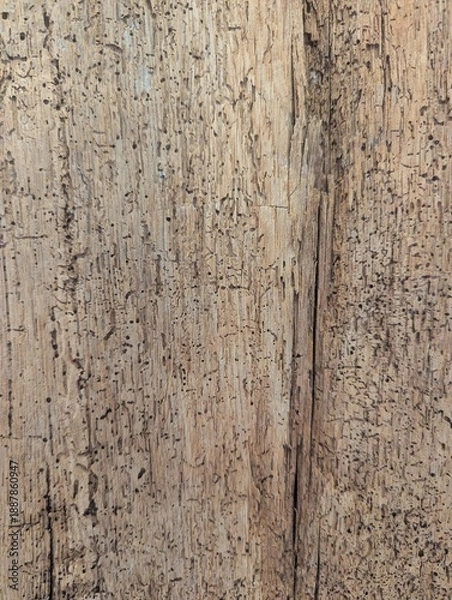 Obraz old wood texture