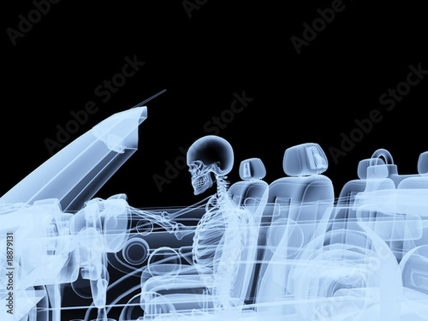 Obraz Xray Skeleton Driving A Car