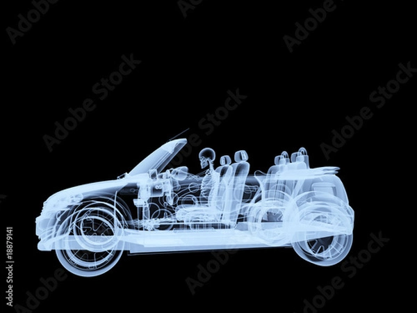 Obraz Xray Skeleton Driving A Car