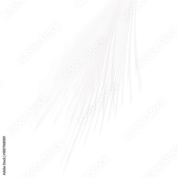 Obraz Abstract light rays effect isolated on transparent background