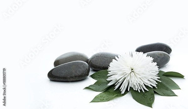 Obraz klejnot spa na białym tle