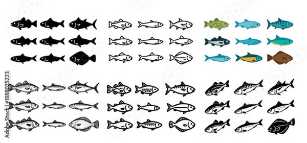 Obraz Diverse fish illustrations collection