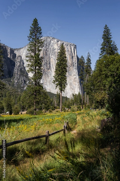 Obraz El Capitan view from the road