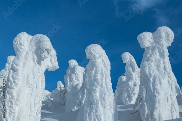 Obraz 山形蔵王の白銀世界の樹氷