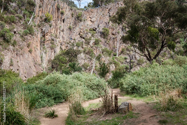 Fototapeta old stone wall in spring